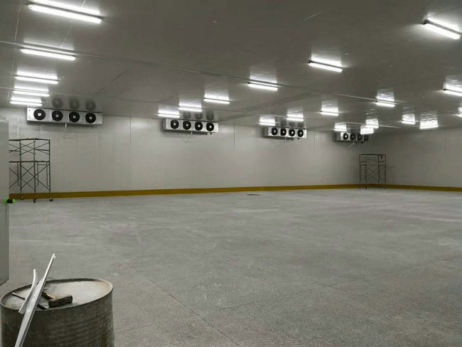 建造100平方冷凍庫(kù)需要多少錢？